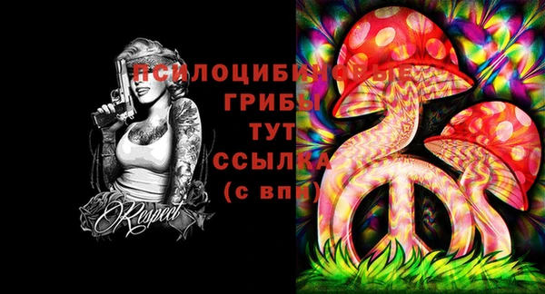 MESCALINE Нефтекумск