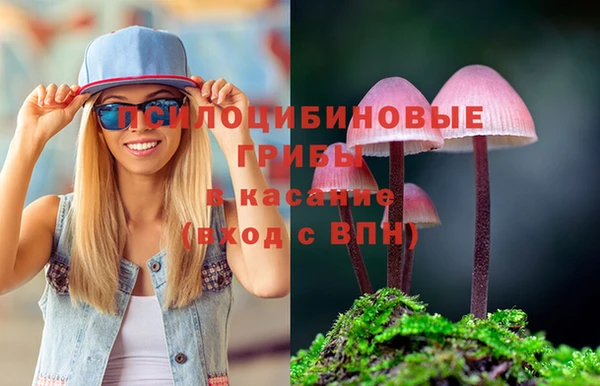 apvp Балабаново