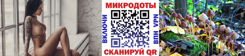 Галлюциногенные грибы Psilocybine cubensis  площадка формула  Среднеколымск  цена  